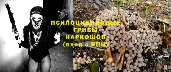 шишки Беломорск