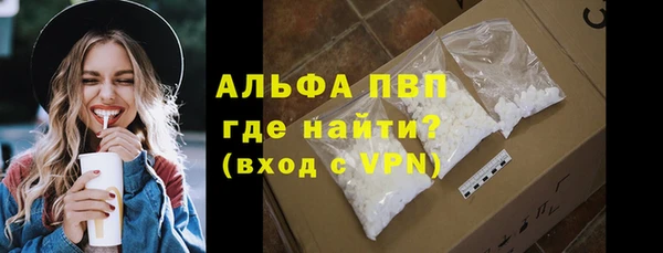 шишки Беломорск