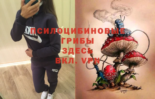 прущая мука Арсеньев