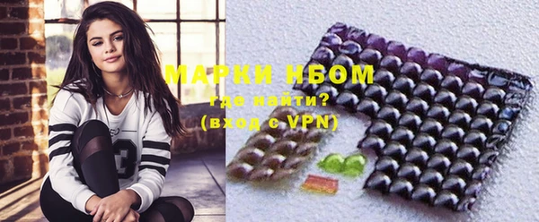 шишки Беломорск