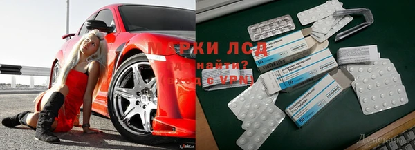амф Белокуриха