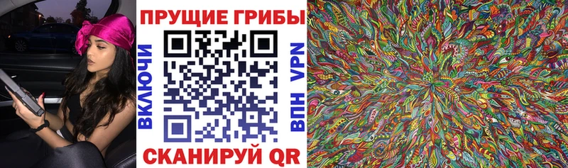 Псилоцибиновые грибы мухоморы  хочу   Майкоп 