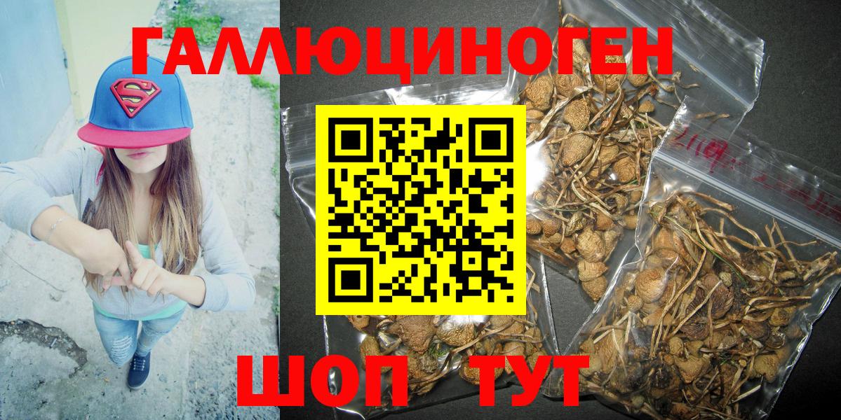 Галлюциногенные грибы GOLDEN TEACHER Майкоп