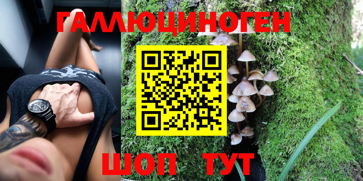 Псилоцибиновые грибы мухоморы  Вход с VPN  Майкоп  Псилоцибиновые грибы прущие грибы 